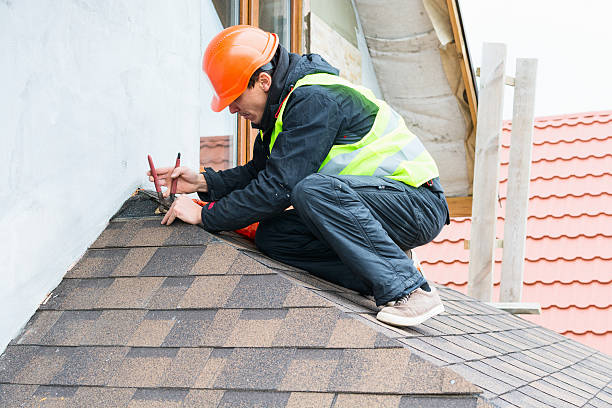 Best Roof Gutter Cleaning  in Cudahy, CA